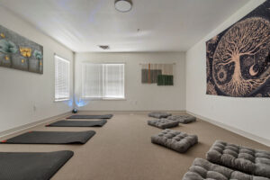 Wisconsin Recovery Institute