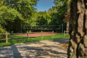 Owl’s Nest Recovery