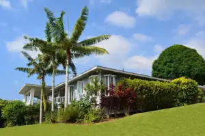 Hawaii Island Recovery